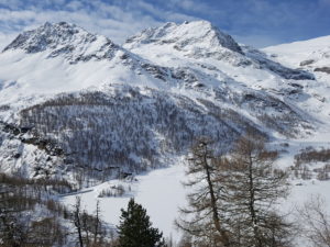 Glacier