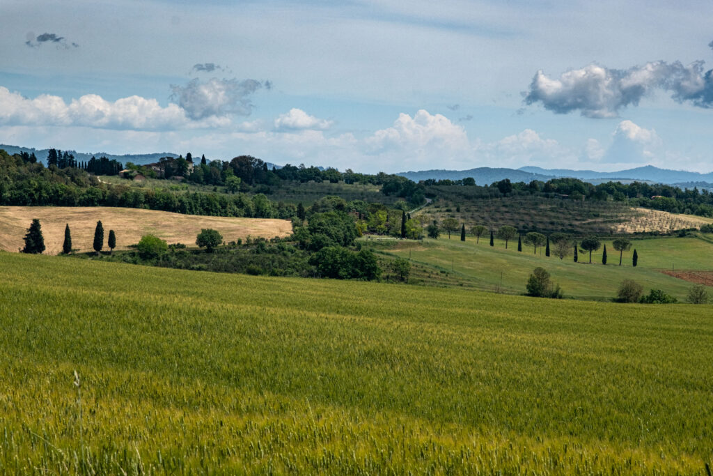 Tuscan Countryside